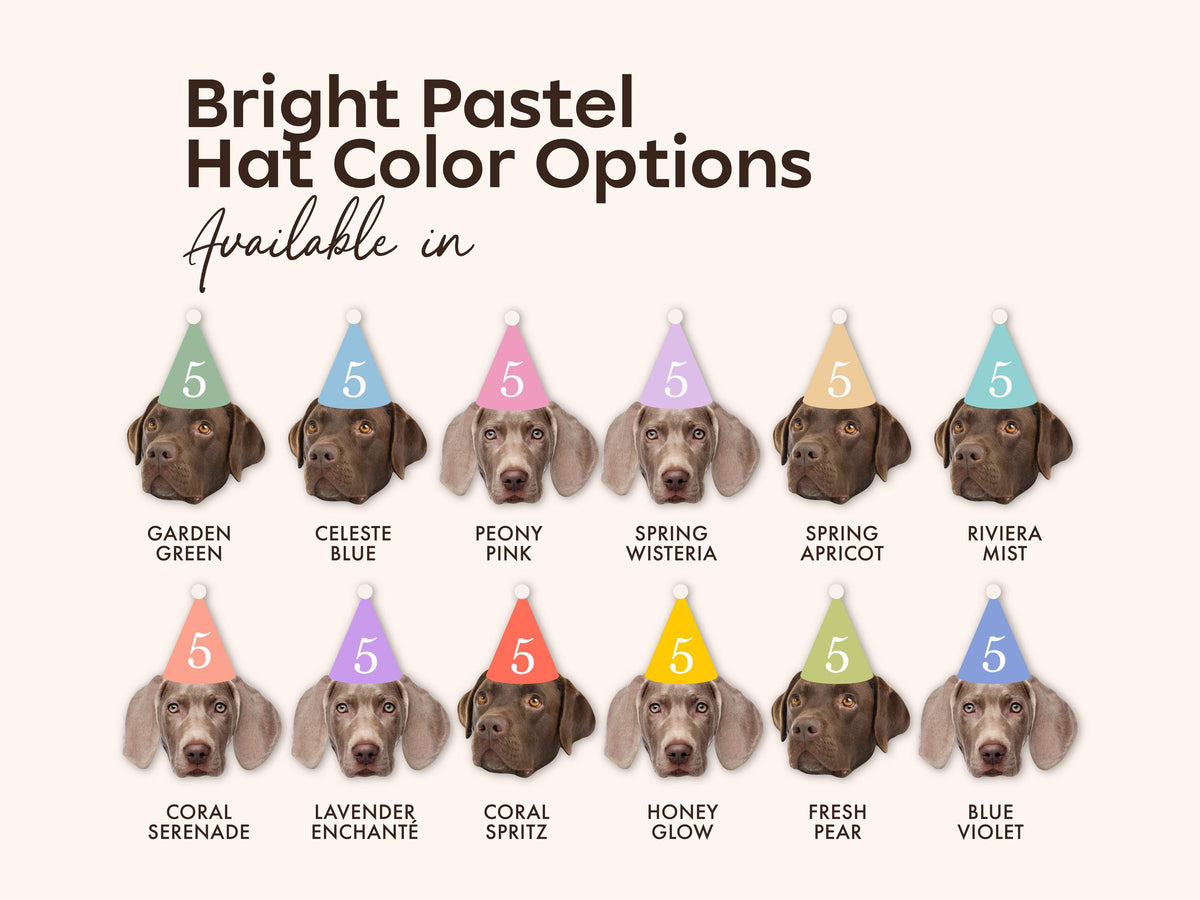 Custom Pet Photo Straws – Pastel Party Hats