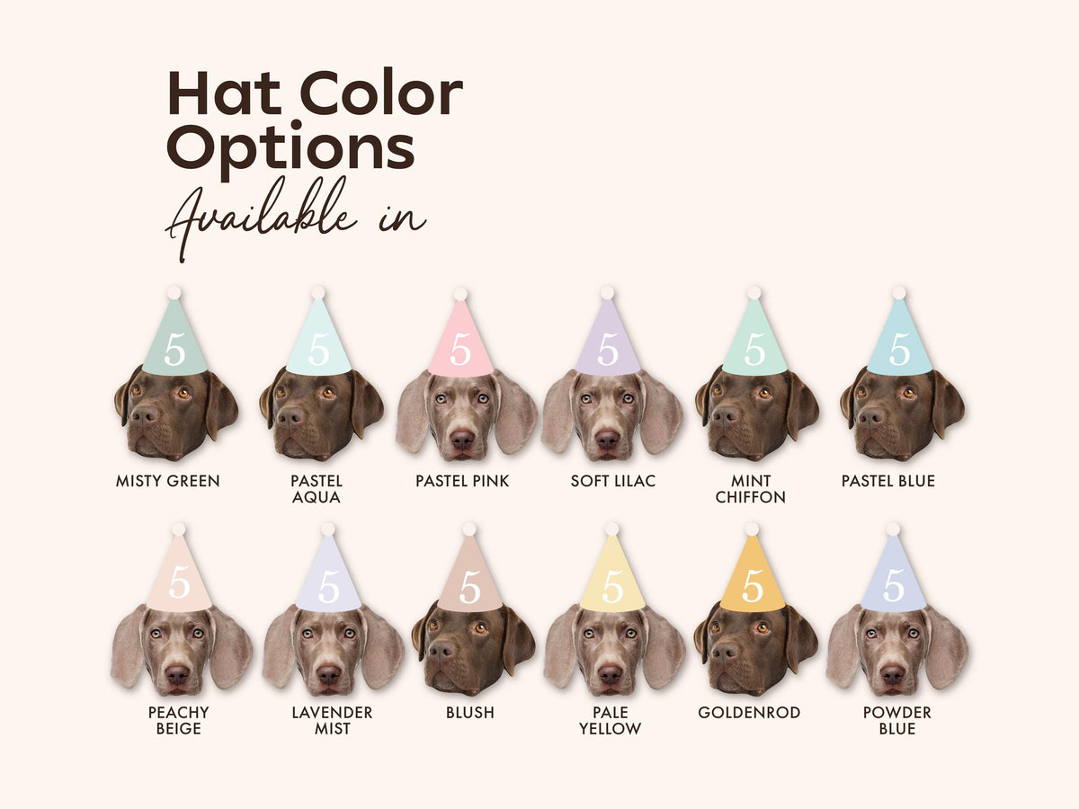 Custom Pet Photo Straws – Pastel Party Hats