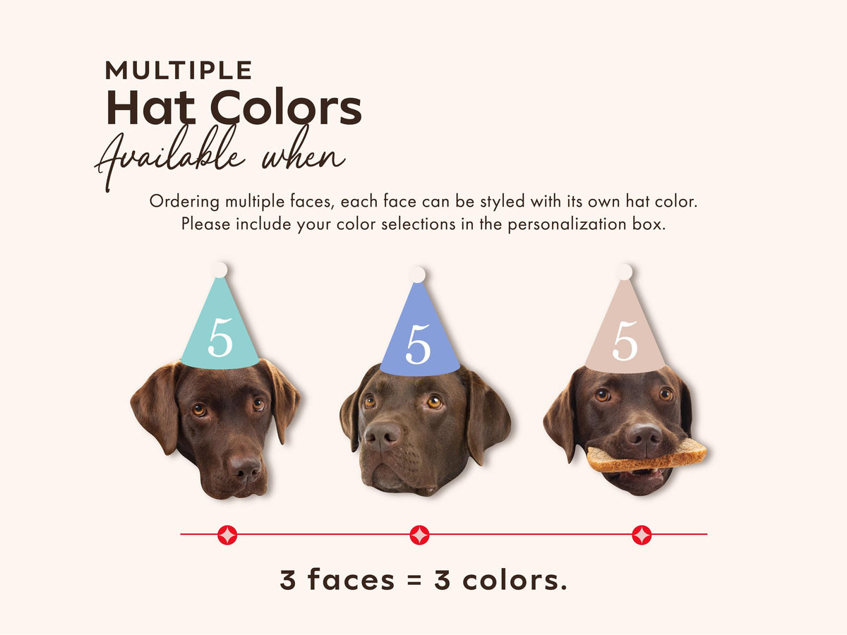 Custom Pet Photo Straws – Pastel Party Hats