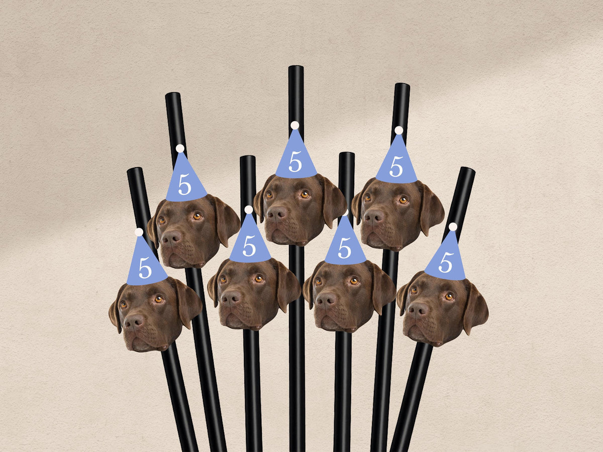 Custom Pet Photo Straws – Pastel Party Hats