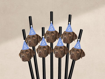 Custom Pet Photo Straws – Pastel Party Hats