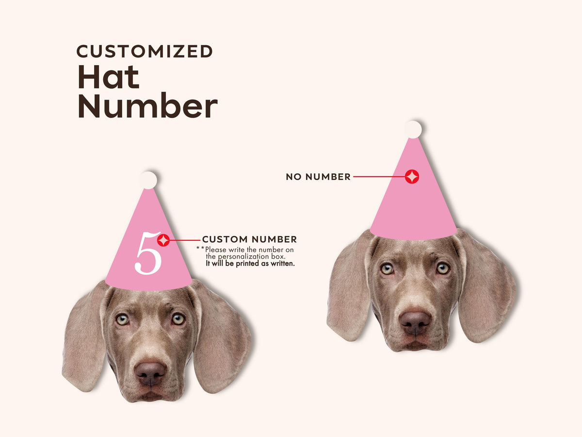 Custom Pet Photo Straws – Pastel Party Hats